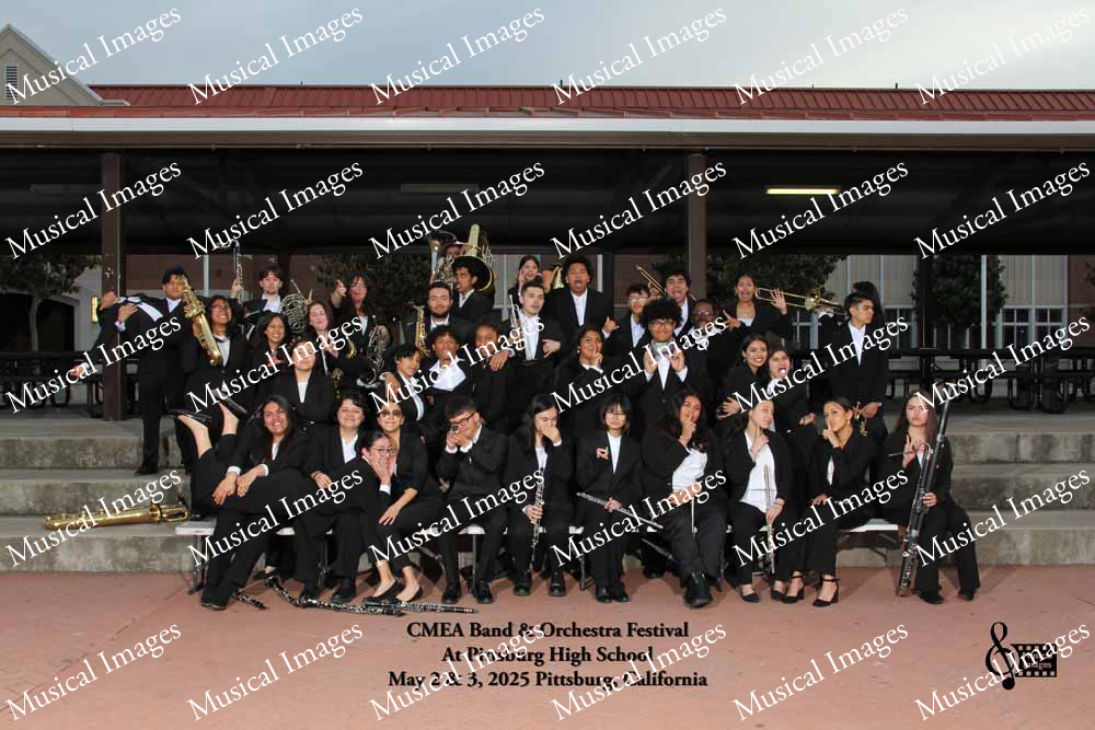 Musical Images